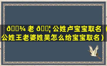 🌾 老 🐦 公姓卢宝宝取名（老公姓王老婆姓吴怎么给宝宝取名）